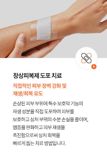 88_main_11_IMG_P-04-1